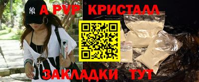 стаф Бузулук