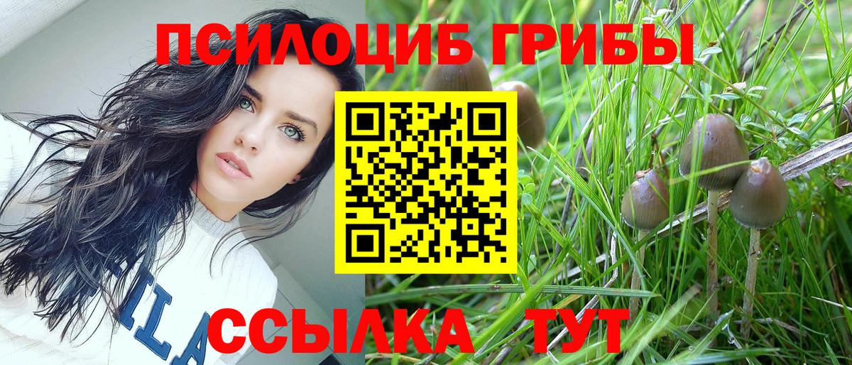 Псилоцибиновые грибы прущие грибы  Галлюциногенные грибы Magic Shrooms  Вход с VPN  Петропавловск-Камчатский 